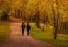 How To Keep Trees Healthy On Your Property